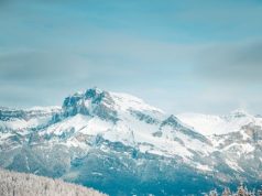 Balığın Taze Olduğunu Nasıl Anlarız? how to tell if fish is fresh